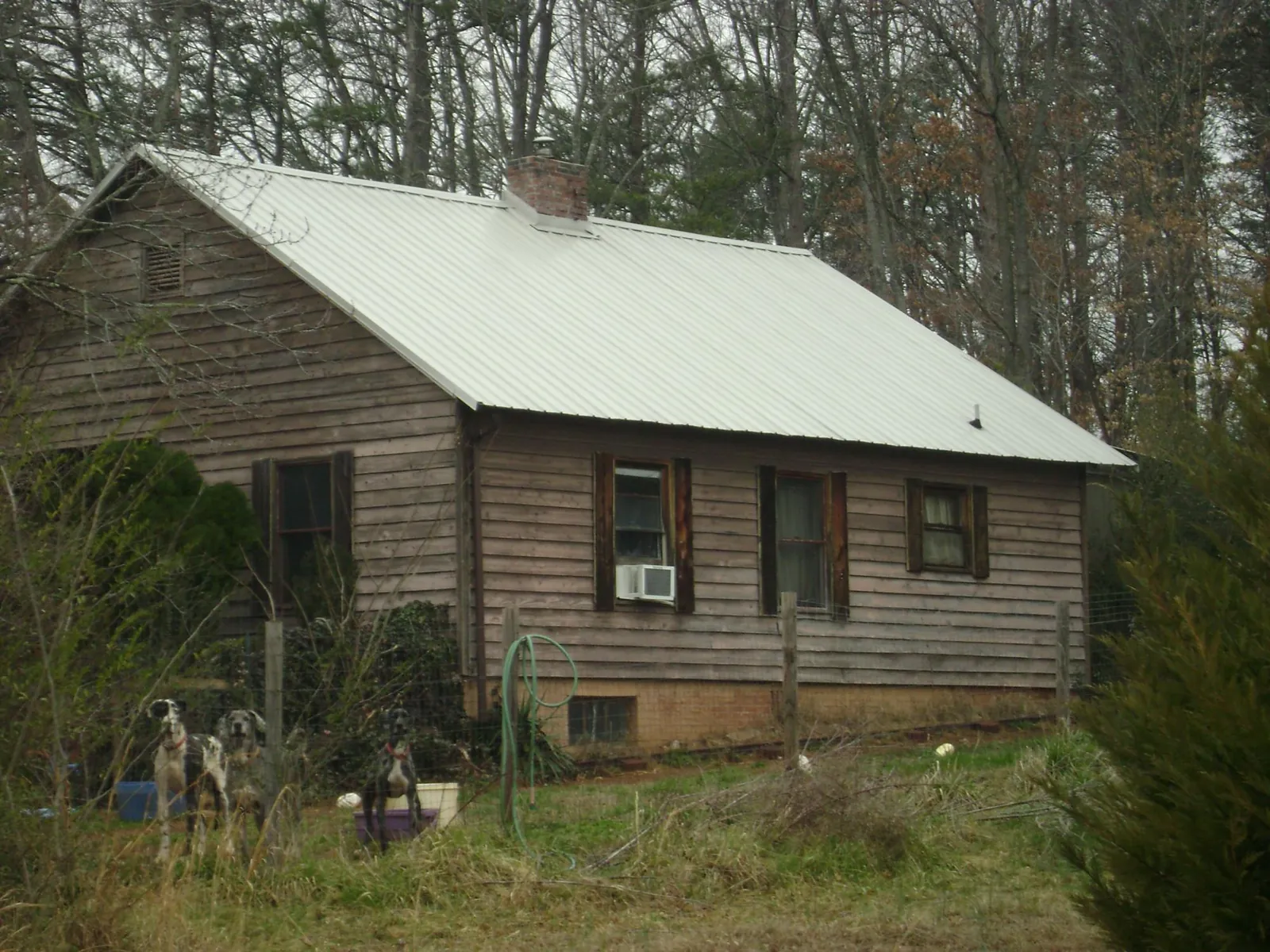 White metal roof on an old wood sided farmhouse, from a Metal Roof Installation job in Angelus Oaks